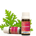 Citronella essential oil