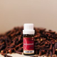 Clove Bud Essential Oil