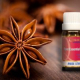 Anise Star Essential Oil